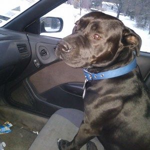 Meet your Posher, Vaughn